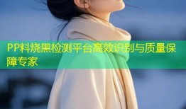PP料烧黑检测平台高效识别与质量保障专家