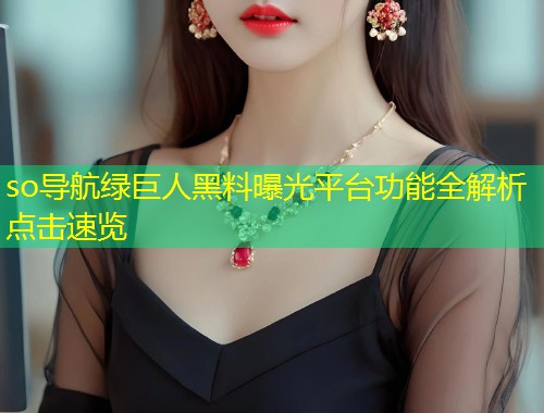 so导航绿巨人黑料曝光平台功能全解析点击速览