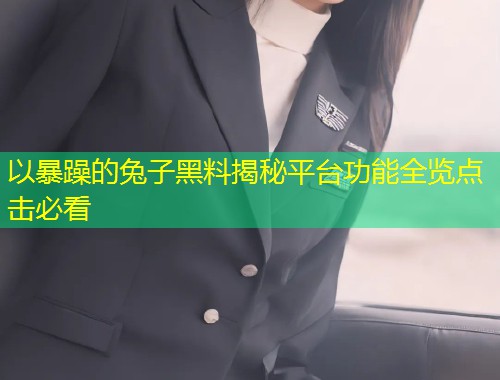 以暴躁的兔子黑料揭秘平台功能全览点击必看
